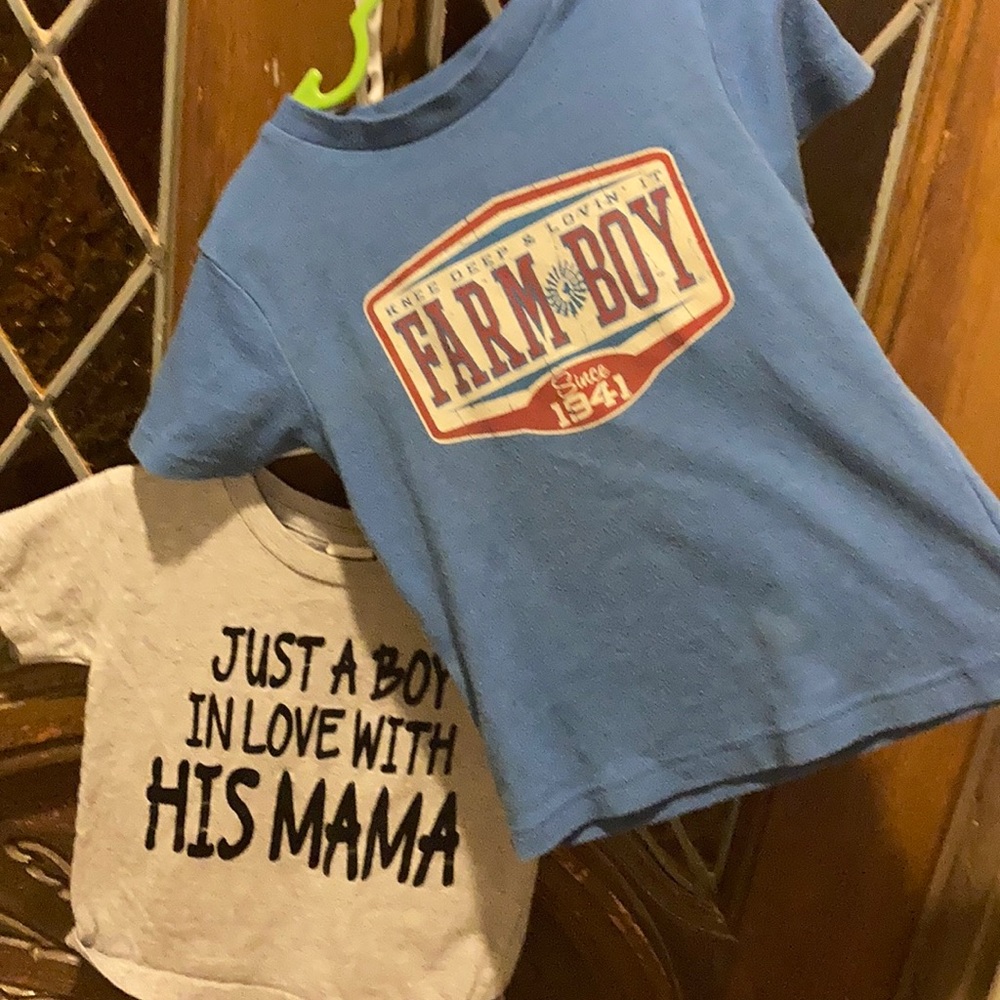 Lot of 2 2t shirts